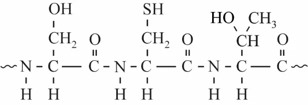 Structuurformule Ser-Cys-Thr