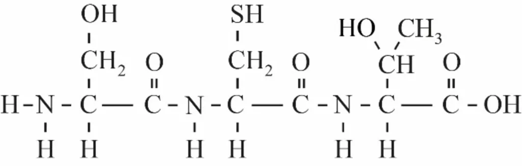 Structuurformule Ser-Cys-Thr leerlingantwoord